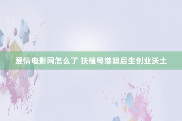 爱情电影网怎么了 扶植粤港澳后生创业沃土