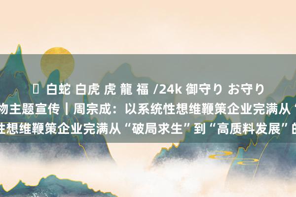 ✨白蛇 白虎 虎 龍 福 /24k 御守り お守り 2024重庆市制造业东谈主物主题宣传｜周宗成：以系统性想维鞭策企业完满从“破局求生”到“高质料发展”的进步
