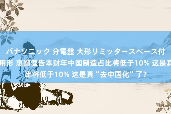パナソニック 分電盤 大形リミッタースペース付 露出・半埋込両用形 惠鄙俚告本财年中国制造占比将低于10% 这是真“去中国化”了？