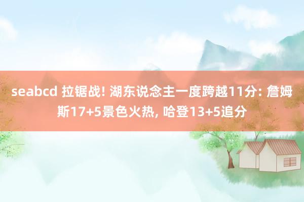 seabcd 拉锯战! 湖东说念主一度跨越11分: 詹姆斯17+5景色火热， 哈登13+5追分