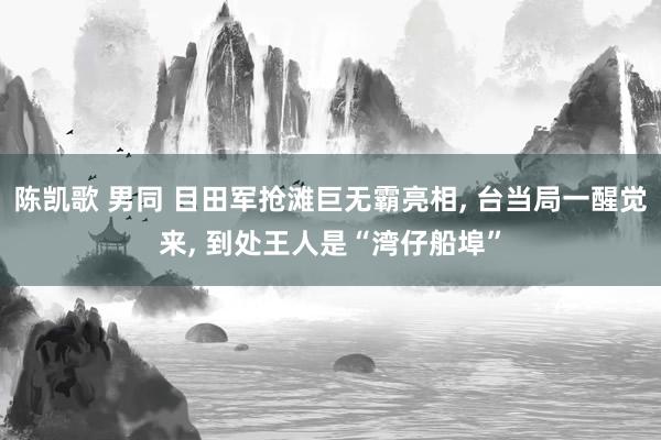 陈凯歌 男同 目田军抢滩巨无霸亮相， 台当局一醒觉来， 到处王人是“湾仔船埠”