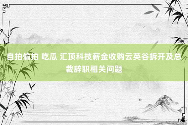 自拍偷拍 吃瓜 汇顶科技薪金收购云英谷拆开及总裁辞职相关问题