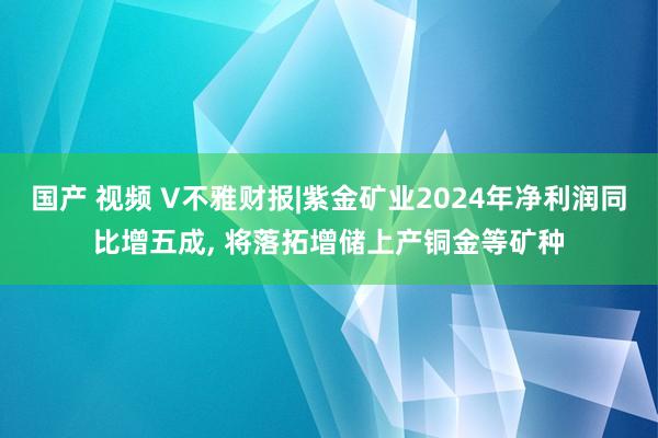 国产 视频 V不雅财报|紫金矿业2024年净利润同比增五成， 将落拓增储上产铜金等矿种