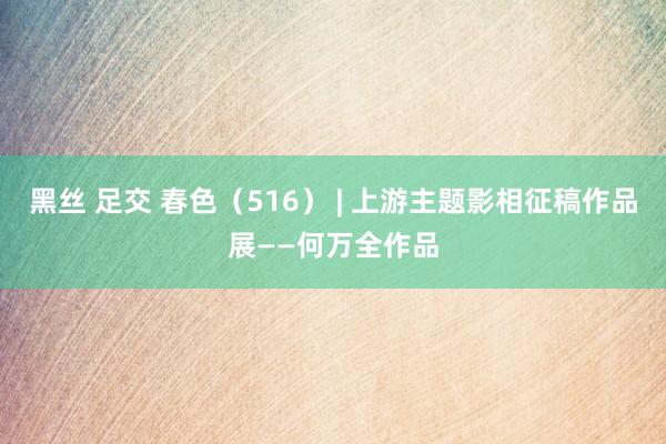 黑丝 足交 春色（516） | 上游主题影相征稿作品展——何万全作品