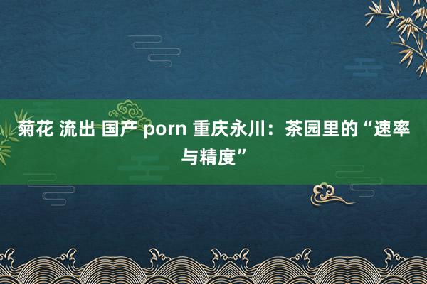 菊花 流出 国产 porn 重庆永川：茶园里的“速率与精度”