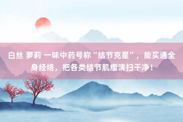 白丝 萝莉 一味中药号称“结节克星”，能买通全身经络，把各类结节肌瘤清扫干净！